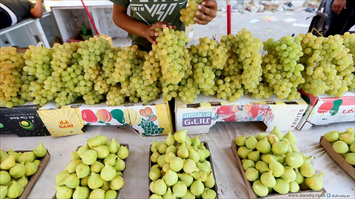 بازار الفاكهة الموسمية في غزة 3 (عبد الحكيم أبو رياش/العربي الجديد)