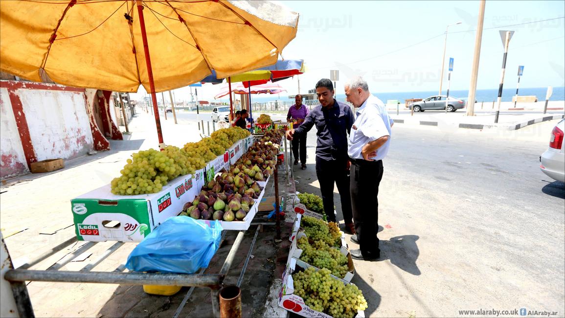 بازار الفاكهة الموسمية في غزة 6 (عبد الحكيم أبو رياش/العربي الجديد)