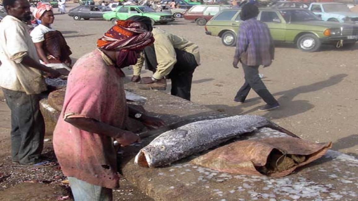 عمليات تنظيف الأسماك على شواطئ موريتانيا (العربي الجديد)