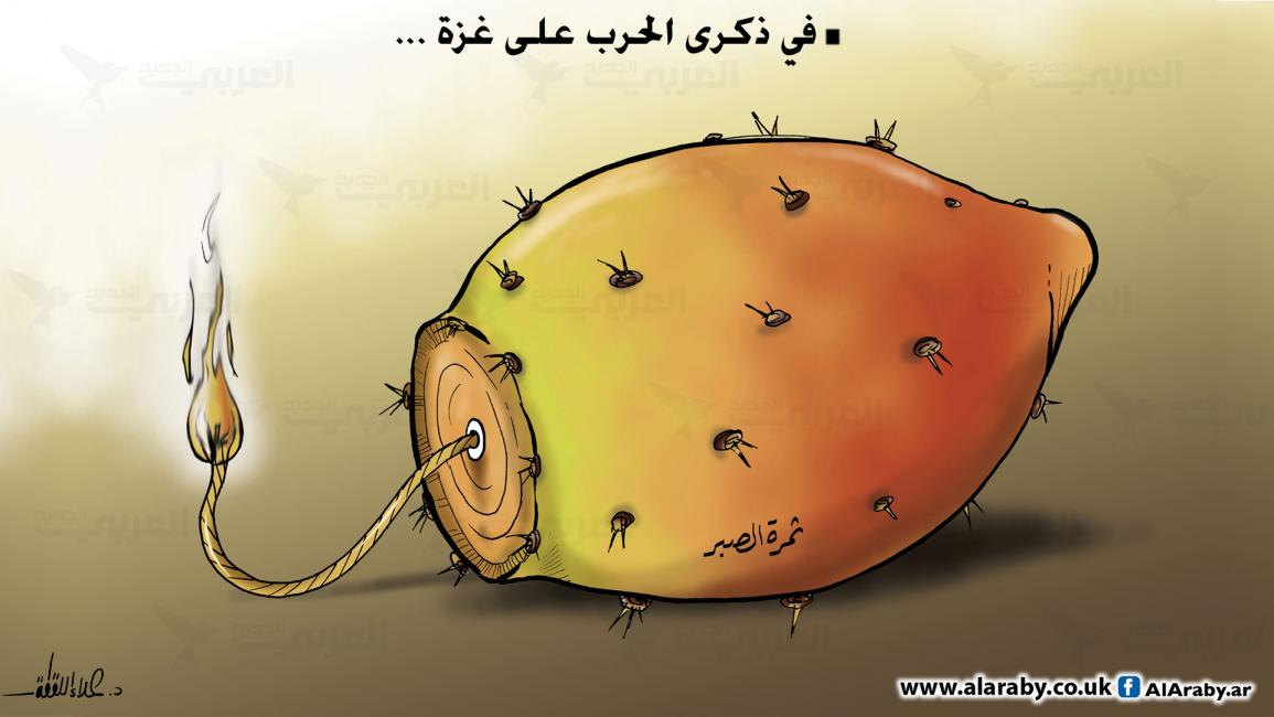 كاريكاتير ثمرة الصبر / علاء
