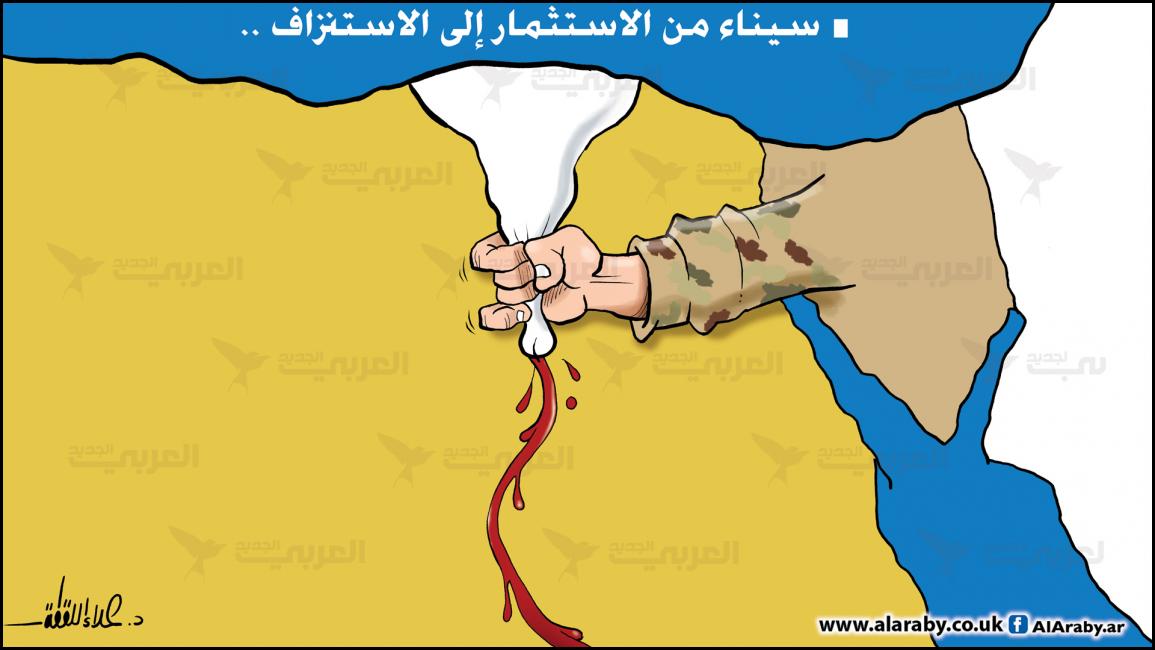 كاريكاتير سيناء / علاء اللقطة