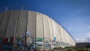 جدار الفصل العنصري - ملحق فلسطين