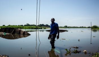 مشاكل بيئية في السودان - فرانس برس