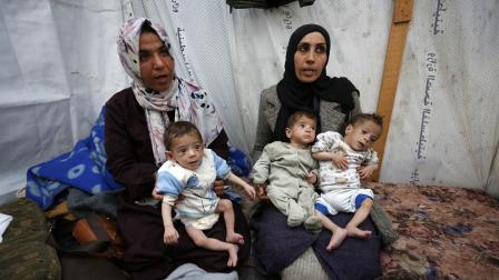 المجاعة وشيكة في غزة (أشرف أبو عمرة/الأناضول)