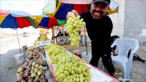بازار الفاكهة الموسمية في غزة 7 (عبد الحكيم أبو رياش/العربي الجديد)