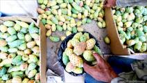 بازار الفاكهة الموسمية في غزة 5 (عبد الحكيم أبو رياش/العربي الجديد)