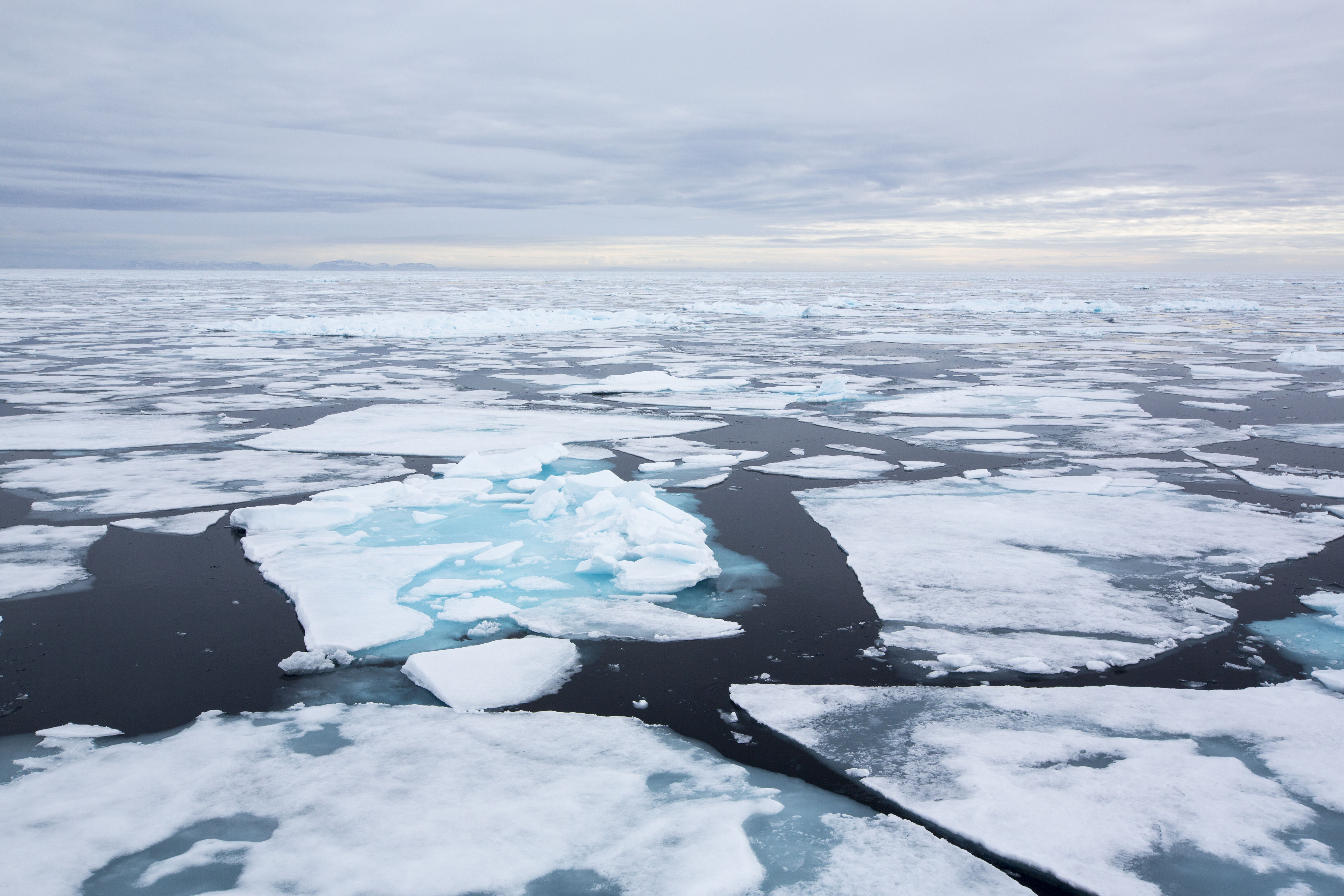 Северно ледовитый океан средняя. Льды Северного Ледовитого океана. Белое море Северный Ледовитый океан. Северно Ледовитый океан канадский архипелаг. Моря бассейна Северного Ледовитого океана.