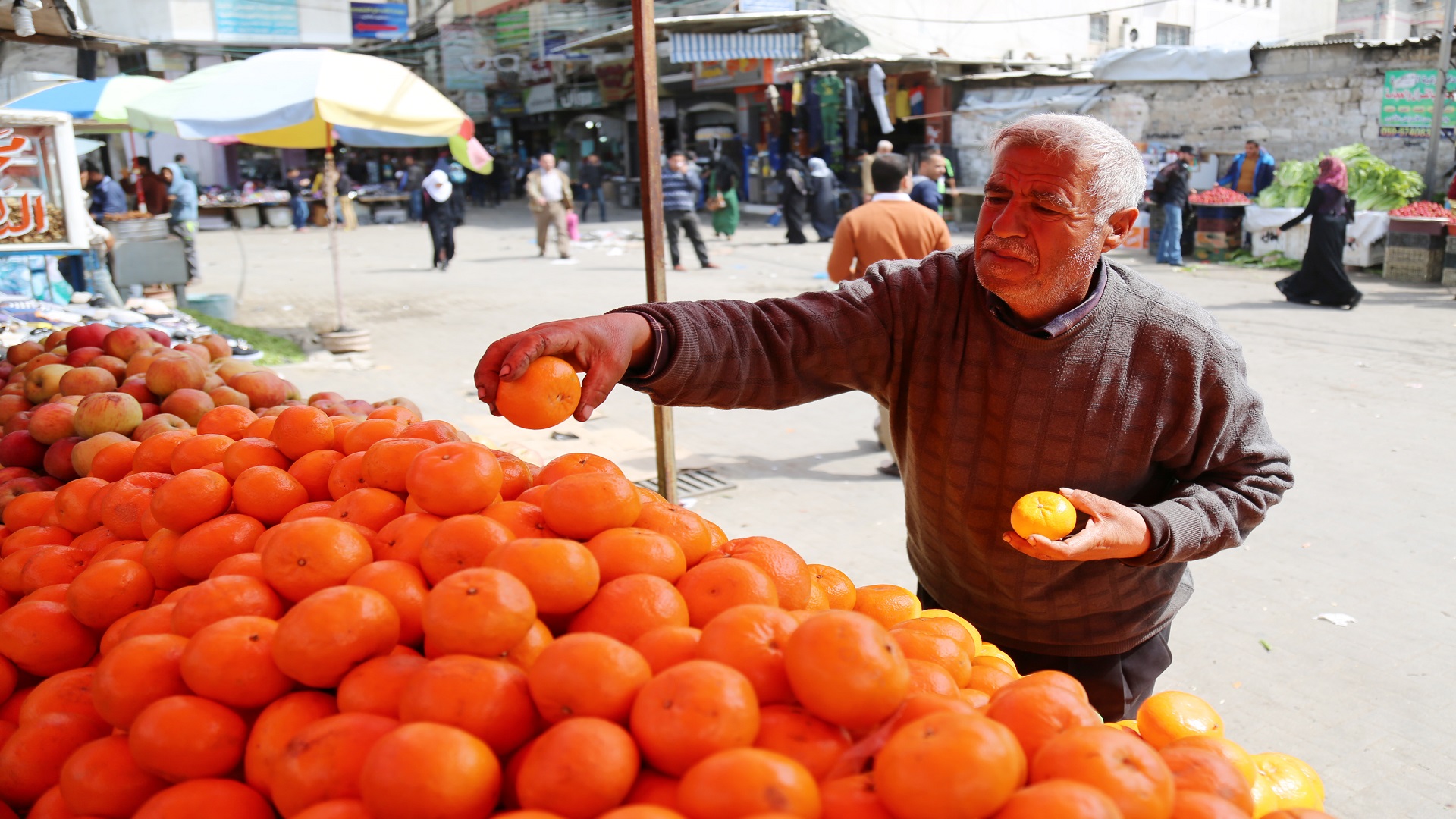 بائع فاكهة غزة جميع أبنائه بالتعليم الجامعي