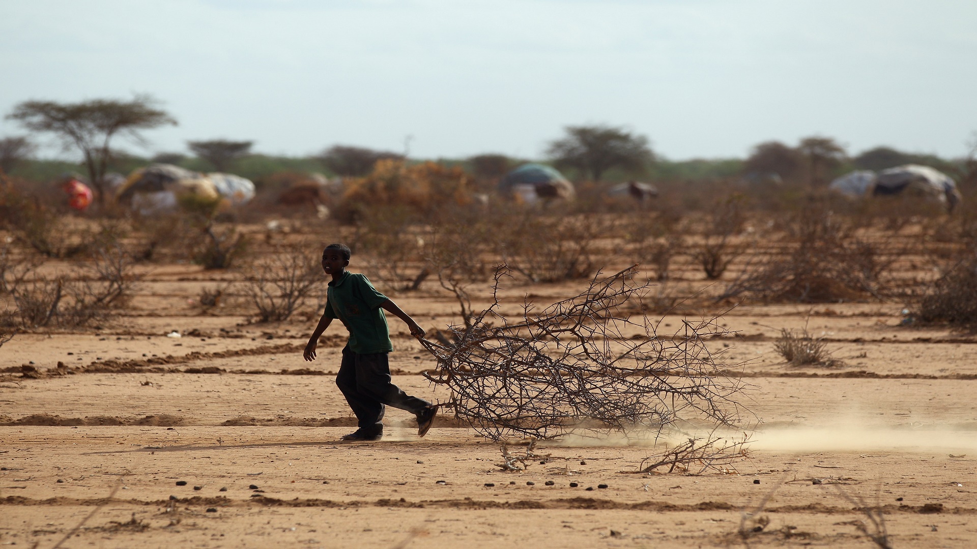 Природа голода. Голод в Восточной Африке 2011. 2011 Год: засуха и голод в Восточной Африке.