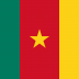 Flag_of_Cameroon.svg_.png