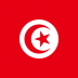 Flag_of_Tunisia.svg_.png