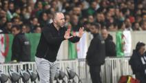 Algeria's head coach Djamel Belmadi gestures during the international friendly football match between Algeria and Colombia on October 15, 2019 at Pierre Mauroy stadium in Villeneuve d'Ascq, northern France. (Photo by FRANCOIS LO PRESTI / AFP) (Photo by FRANCOIS LO PRESTI/AFP via Getty Images)