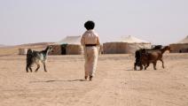 بعض المسافرين يضلون طريقهم في الصحراء (عبدالله القادري/ فرانس برس)