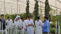 حديقة القرآن النباتية - قطر (العربي الجديد)
