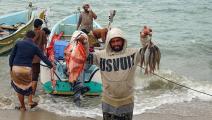 صيد الأسماك في اليمن