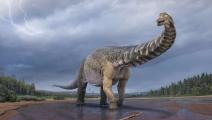 اكتشاف نوع جديد من الديناصورات في أستراليا (متحف كوينزلاند)
