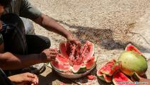 تبذير البطيخ في غزة (عبد الحكيم أبو رياش/العربي الجديد)