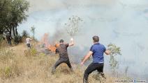جزائريون يحاولون إطفاء حرائق غابات في الجزائر (العربي الجديد)