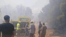 محاولات إطفاء حرائق جبل سمامة في تونس (فيسبوك)