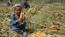 فقر في أفغانستان (جافد تنفير/ فرانس برس)