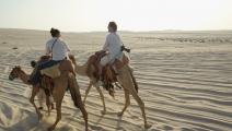 صحراء قطر (Getty)