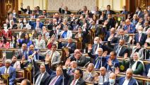 مجلس النواب المصري (وسائل التواصل)