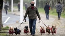 رجل وكلاب وكورونا في الصين (نويل سيليس/ فرانس برس)