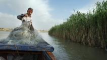صياد يجمع شباكه بعد رحلة صيد في نهر الفرات (فرانس برس)