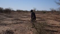 جفاف في النيجر (بوريما هاما/ فرانس برس)
