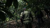 القوات الديمقراطية ارتكبت مجازر في الكونغو 