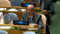 سفير مصر لدى الأمم المتحدة أسامة عبد الخالق (فيسبوك)