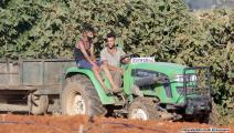 الزراعة في الجزائر/ العربي الجديد