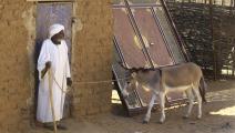 رجل سوداني وحمار في السودان (أشرف شاذلي/ فرانس برس)