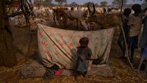 أطفال وماشية في جنوب السودان (أليكس ماكبرايد/ Getty)