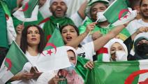 algeria fans Qatar