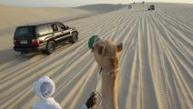 رحلة تخييم في قطر (شون غالوب/ Getty)