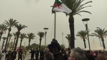 الجزائر: وقفة بمناسبة عيد النصر أقيمت في وزارة الخارجية (العربي الجديد)