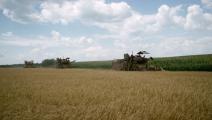 الحرب توقف الصادرات الزراعية الأوكرانية  (getty)