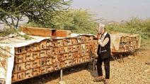  المبيدات المحظورة تدمر بيئة اليمن 
