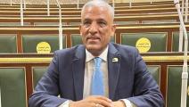 نائب البرلمان المصري محمد الحسيني (فيسبوك)