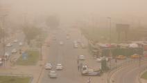 جرف الغطاء الأخضر أحد أسباب العواصف الترابية في العراق (كرار عيسى/ الأناضول)