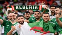 algeria fans