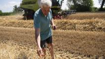 الجفاف يضرب محصول القمح في إيطاليا ويفاقم أزمة الغذاء (Getty)
