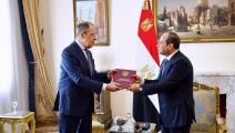 السيسي يلتقي لافروف في مصر (الرئاسة المصرية/ فيسبوك)