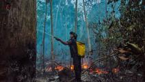 تدمر الغابات في البرازيل لمصلحة كارتيلات دولية (جواو بابلو غيماريش/ فرانس برس)