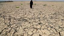 يواجه العراق موجة جفاف كبيرة (أحمد الربيعي/ فرانس برس)