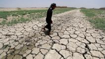 جفاف في أهوار العراق (أحمد الربيعي/ فرانس برس)