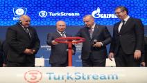 بوتين وأردوغان خلال تدشين خط أنابيب غاز السيل التركي/الأناضول