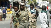 تراجعت جبهة تحرير تيغراي أمام القوات الإثيوبية والإرتيرية (الأناضول)