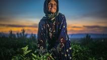 المرأة الريفية (محمد سعيد/ الأناضول)